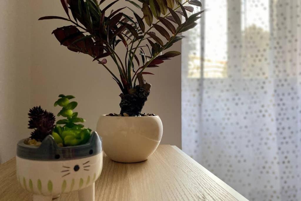 Central Modern Apartment Rome -Locazione Turistica- Kültér fotó
